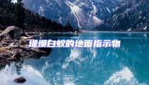 堤坝白蚁的地面指示物