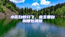 小区白蚁分飞,业主要自掏腰包清除