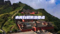 水库白蚁防治要点