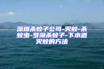 深圳杀蚊子公司-灭蚊-杀蚊虫-罗湖杀蚊子-下水道灭蚊的方法