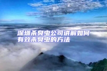 深圳杀臭虫公司讲解如何有效杀臭虫的方法