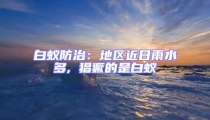 白蚁防治:地区近日雨水多, 猖獗的是白蚁