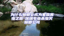 为什么蟑螂会成为家庭害虫之首-深圳专业杀虫灭蟑螂公司