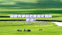 蟑螂有哪些危害应该如何防治?