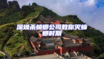深圳杀蟑螂公司教你灭蟑螂时期