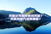 灭鼠公司如何有效灭鼠？灭鼠具体方法有哪些？