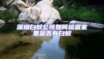 深圳白蚁公司如何检查家里是否有白蚁