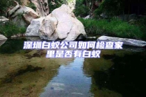 深圳白蚁公司如何检查家里是否有白蚁