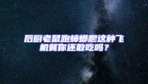 后厨老鼠跑蟑螂爬这种飞机餐你还敢吃吗?