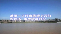 武汉一工行宿舍遭上万白蚁袭击 木地板被蛀空