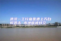 武汉一工行宿舍遭上万白蚁袭击 木地板被蛀空