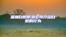 深圳白蚁防治公司介绍白蚁的行为