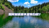 如何知道是不是有白蚁?