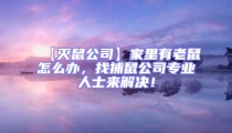 【灭鼠公司】家里有老鼠怎么办,找捕鼠公司专业人士来解决!