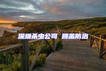 深圳杀虫公司 跳蚤防治