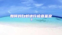 如何对白蚁进行检查鉴定?