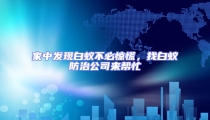 家中发现白蚁不必惊慌，找白蚁防治公司来帮忙