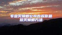 专业灭蟑螂公司告诉你最佳灭蟑螂方法