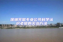 深圳灭鼠专业公司科学认识老鼠的灭治方法