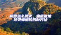 蟑螂怎么消灭，盘点各地除灭蟑螂的各种方法