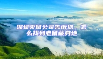 深圳灭鼠公司告诉您，怎么找到老鼠藏身地