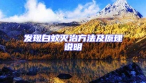 发现白蚁灭治方法及原理说明