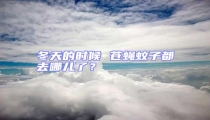 冬天的时候 苍蝇蚊子都去哪儿了?