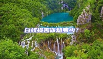 白蚁损害你知多少?