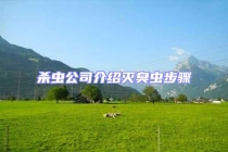 杀虫公司介绍灭臭虫步骤