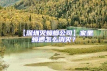 【深圳灭蟑螂公司】家里蟑螂怎么消灭？