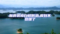 新房装修白蚁防治,应刻不容缓了