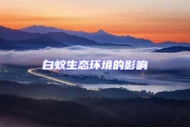 白蚁生态环境的影响