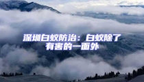 深圳白蚁防治：白蚁除了有害的一面外