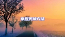 掌握灭蟑方法