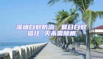 深圳白蚁防治:夏日白蚁猖狂 灭杀需除根