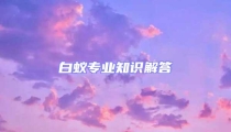 白蚁专业知识解答