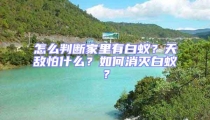 怎么判断家里有白蚁？天敌怕什么？如何消灭白蚁？