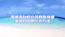 深圳杀白蚁公司教你快速驱除白蚁的5大方法