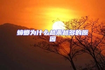 蟑螂为什么越杀越多的原因