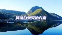 简明白蚁灭治方案