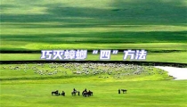巧灭蟑螂“四”方法
