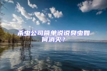 杀虫公司简单说说臭虫如何消灭？