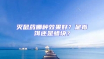 灭鼠药哪种效果好?是毒饵还是蜡块?