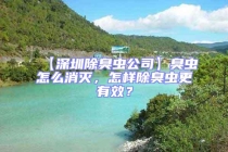 【深圳除臭虫公司】臭虫怎么消灭，怎样除臭虫更有效？