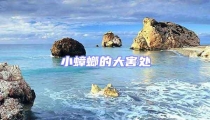 小蟑螂的大害处