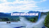 白蚁防治的办法简述