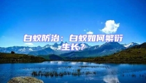 白蚁防治:白蚁如何繁衍生长?