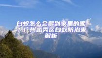 白蚁怎么会爬到家里的呢?广州越秀区白蚁防治来解析