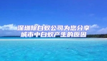 深圳除白蚁公司为您分享城市中白蚁产生的原因