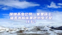 深圳杀虫公司：家里床上.宿舍木板床黑色小虫子是什么？